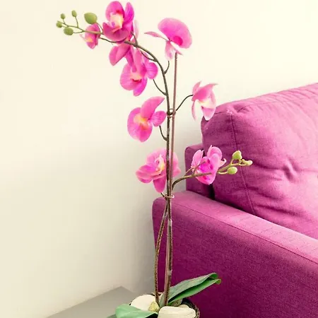 Savvas Centre Flat Apartment