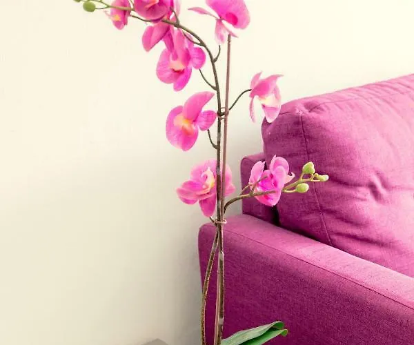 Savvas Centre Flat Lejlighed